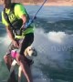 This six-month-old puppy loves wakeboarding with her owner