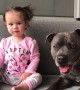 Baby and dog have same priceless reaction after tasting lime