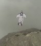 Wingsuit BASE Jumper Lands Through Roof