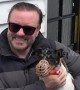 Ricky Gervais attends Halloween dogs event in London