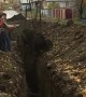Cow Trapped in Construction Trench
