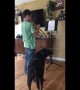 This puppy adores his owner\'s trumpet playing