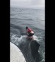 Fisherman leaps onto massive whale in epic 3-hour rescue mission off California coast