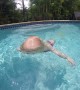 Baby shows off incredible swimming technique