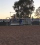 Bull Riding Gender Reveal