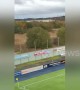 Fan chucked out of Falkirk stadium climbs tree to watch game