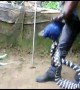 Experts baffled by mystery species of snake found in Indian village