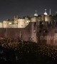 10,000 flames lit at Tower of London to mark 100 years since end of first world war