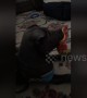 Shar Pei puppy has jawdrop reaction to movie scene he saw on TV