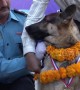 Nepal honours police canines in \'day of the dogs\' festival