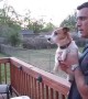 Jack Russell totally loses it whenever owner mentions squirrels