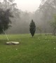 Giant Hail Come Crashing Down