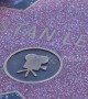 Memorial flowers placed on Marvel Comics legend Stan Lee\'s Hollywood Walk of Fame star