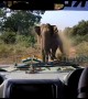 Angry elephant charges forest officials in jeep