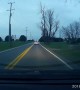 Deer Attempts to Jump over Moving Car