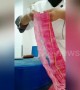 Chef uses cleaver to finely carve radish into netting