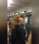 Woman spotted with fox resting on her shoulder in crowded Moscow metro station