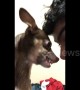 Boy calms angry dog by giving her a kiss on the nose