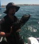 Boat crew rescues baby seal from their propeller and reunite it with family