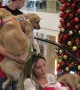 Mall Allows Dogs for a Day - Alternate Angle