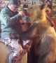 Meet Stepan, the Russian bear that loves to share treats with his owner