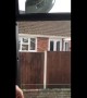 Bouncing dog hilariously jumps to see over the fence