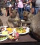 Monkeys have birthday picnic in Thai town