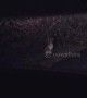 Strewth mate! Driver films wild wallaby on road in Kent, UK