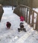 Dachshund through the snow! Heartwarming clip shows disabled dog using skis