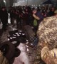 Protestors hurl flares, set tires on fire outside Russia embassy in Kiev