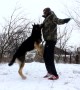Man and Dog Workout Together