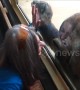 Orangutan can’t stop kissing woman at Colorado zoo