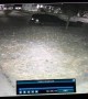 Woman Steals Inflatable Snowman From Yard