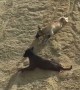 Dogs Enjoy Sand Slide Ride