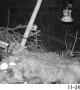 Persistent mouse finally latches onto feeder after multiple jumps