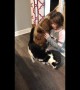 Girl, mini horse and cat share beautiful friendship