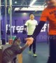 Friendly cat gives high fives to gym-goers