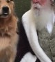 Reindog Sitting with Santa