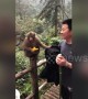 Cheeky monkey wipes dirty hand on tourist’s clothes