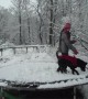 You Have to see these Snow-Loving Dogs