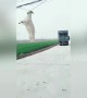 Goat hangs from power line by its horns after jumping from transport lorry