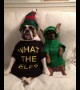 Not fooling anyone! Dogs dress up as Elf on the Shelf