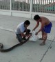 Workers find 12ft long python sleeping on factory fence