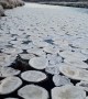 Unusual Ice Forms Pancakes on River