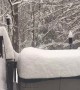 Time lapse shows snowfall in backyard of West Virginia home