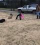 Dogs Lead Geese Through Tricky Obstacle Course