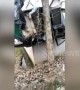 Car crashes off-road and gets wedged between a tree and a wall