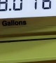 Woman Pays 29 Cents for Full Tank of Gas