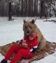 Bear Enjoys Snack on Blanket