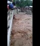 Dramatic moment mother and three children are rescued from raging river